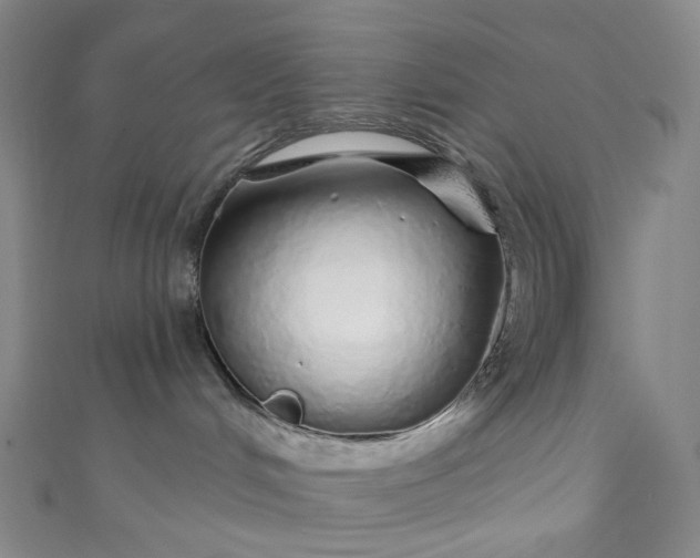 X0000110980048200907022105