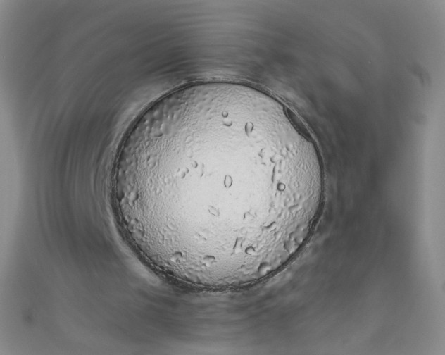 X0000110980049200907022105