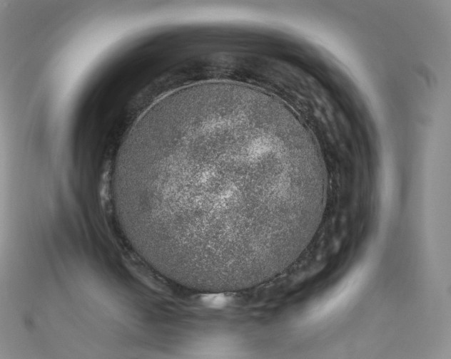 X0000110980050200907022105