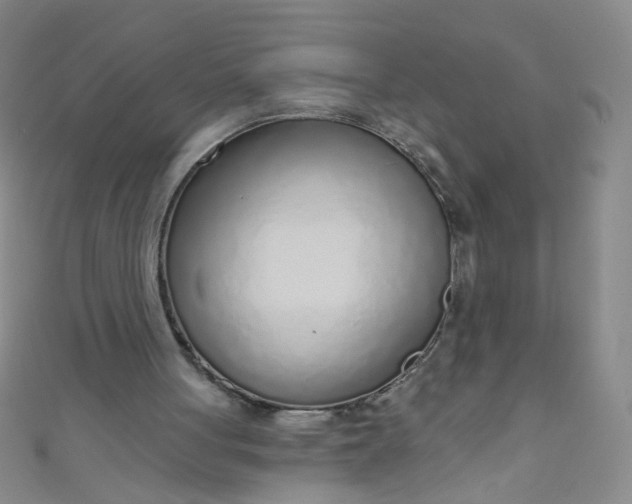 X0000110980051200907022105