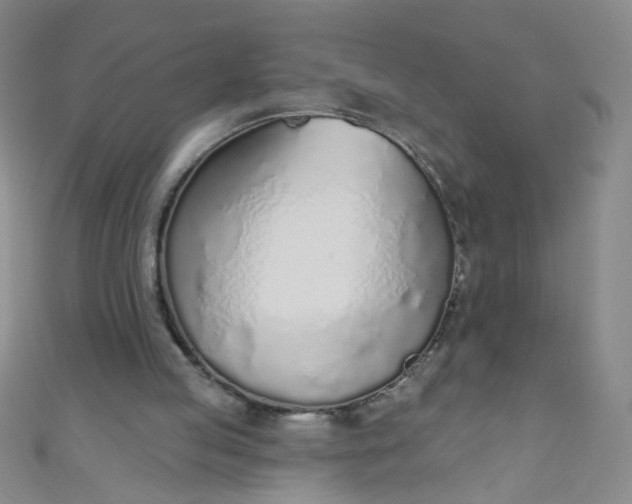 X0000110980053200907022105