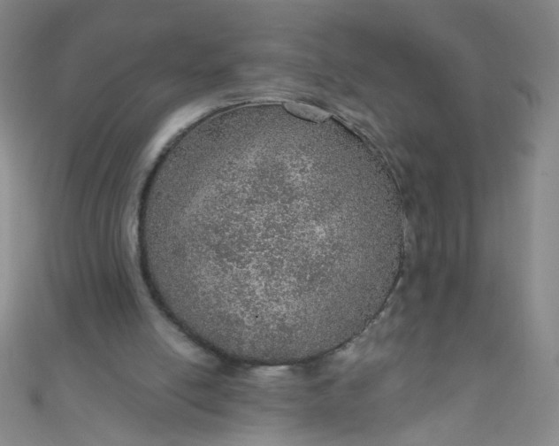 X0000110980054200907022105