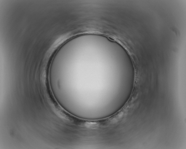 X0000110980055200907022105