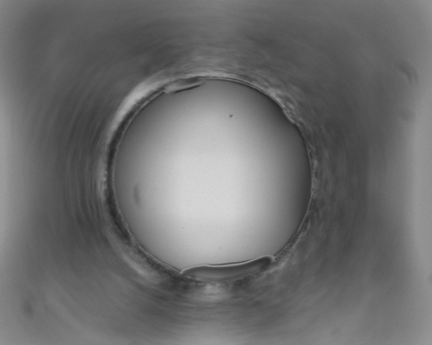 X0000110980056200907022105