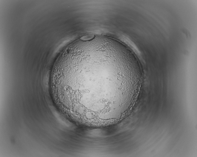 X0000110980058200907022105