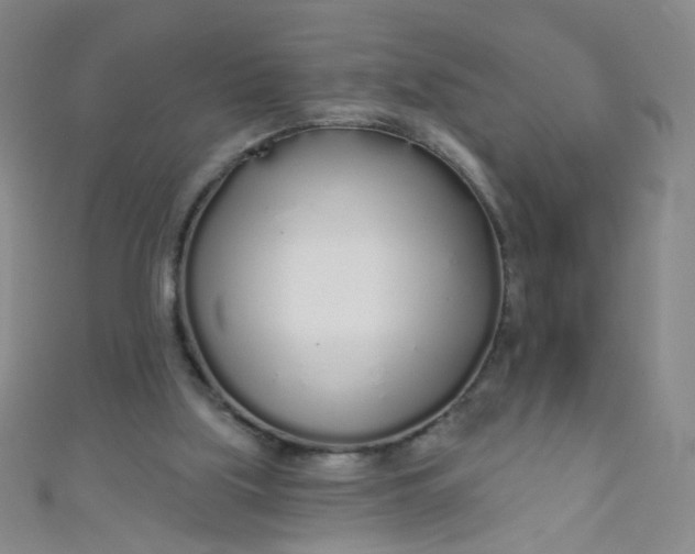 X0000110980059200907022105