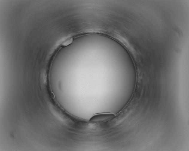 X0000110980060200907022105