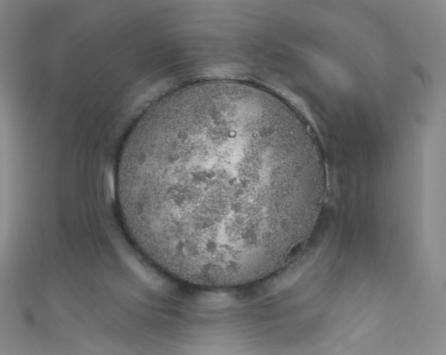 X0000110980061200907022105