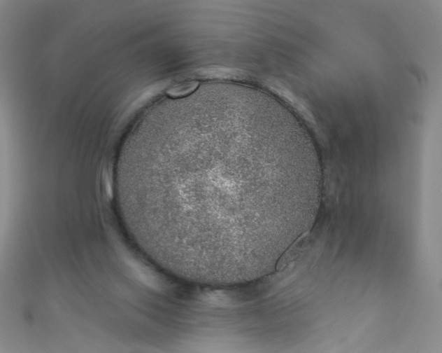 X0000110980062200907022105