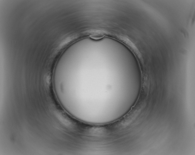 X0000110980063200907022105