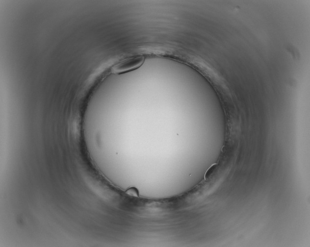 X0000110980064200907022105