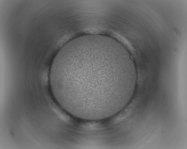 X0000110980065200907022105