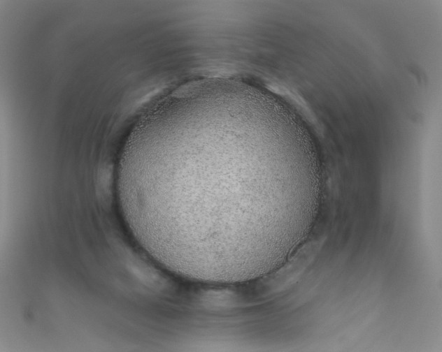 X0000110980066200907022105