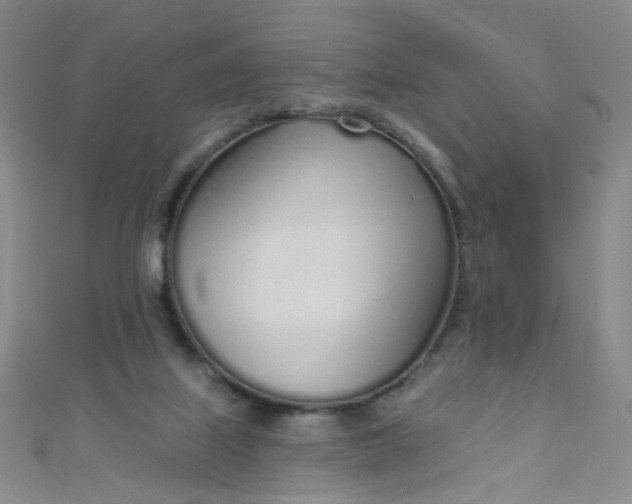 X0000110980067200907022105