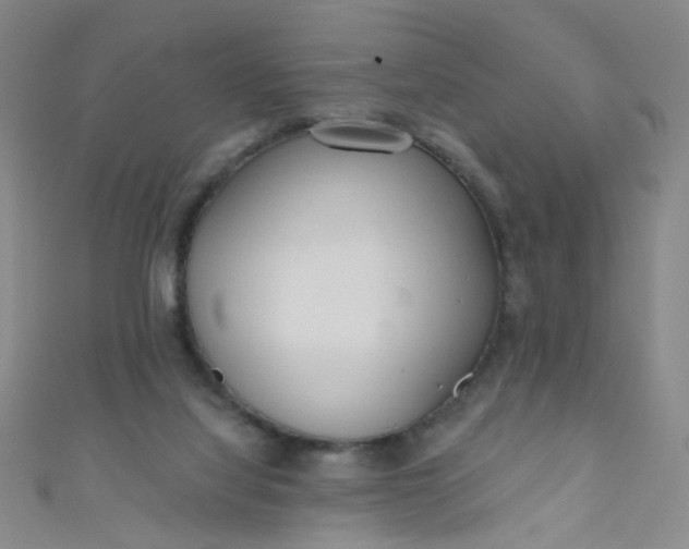 X0000110980068200907022105