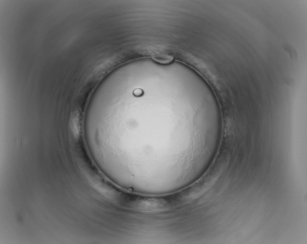 X0000110980069200907022105