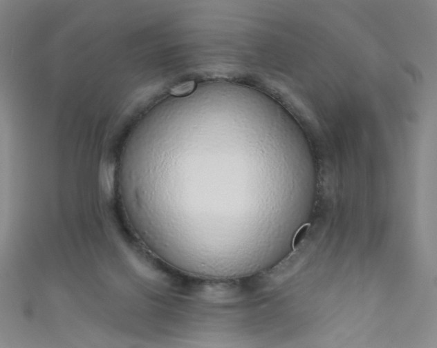 X0000110980070200907022105