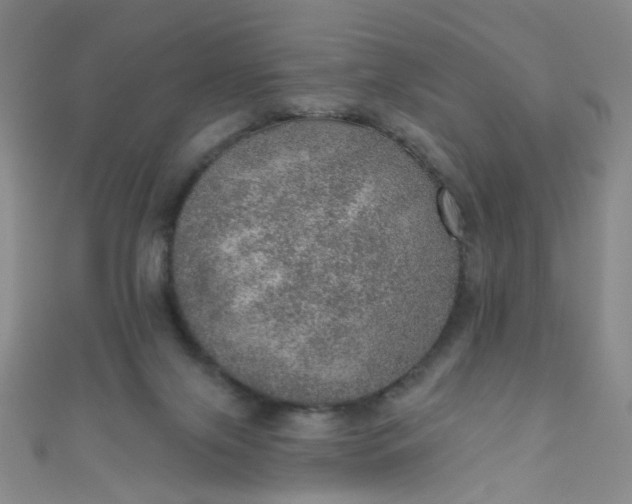 X0000110980071200907022105