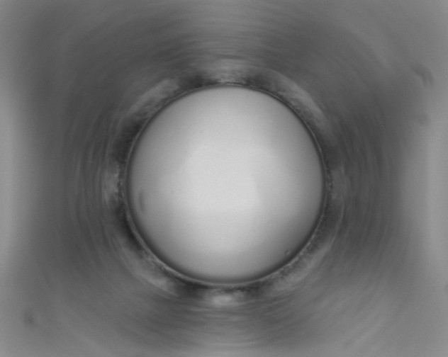 X0000110980073200907022105