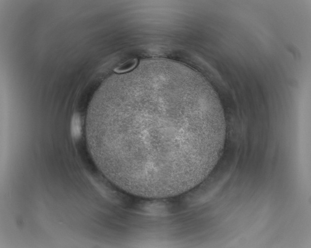 X0000110980075200907022105