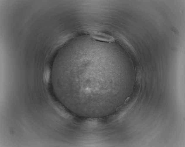 X0000110980076200907022105