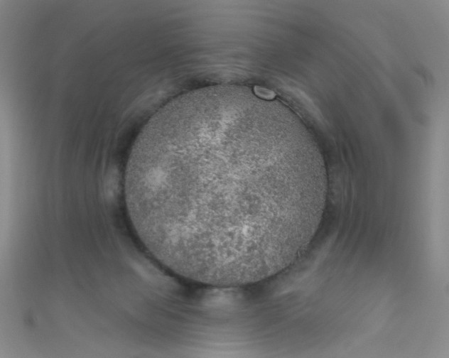 X0000110980077200907022105