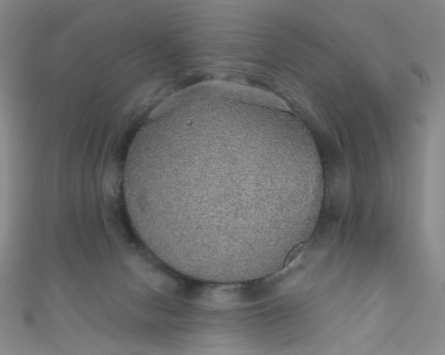 X0000110980078200907022105