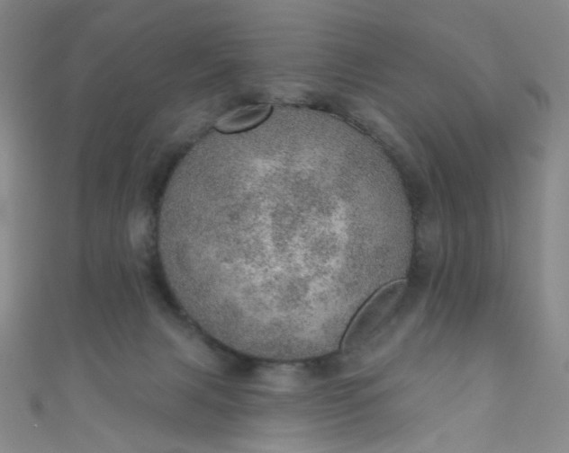 X0000110980079200907022105