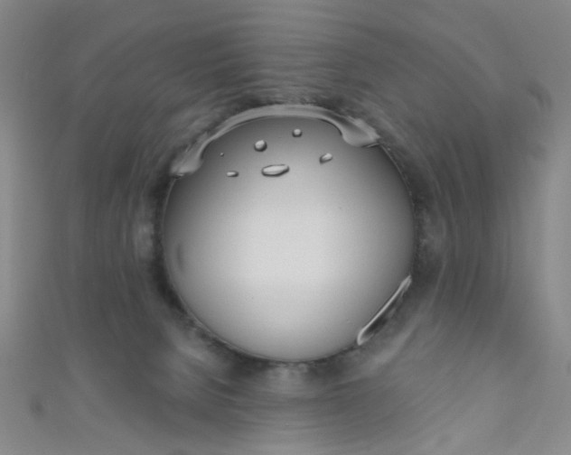 X0000110980080200907022105