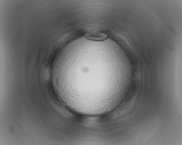 X0000110980081200907022105