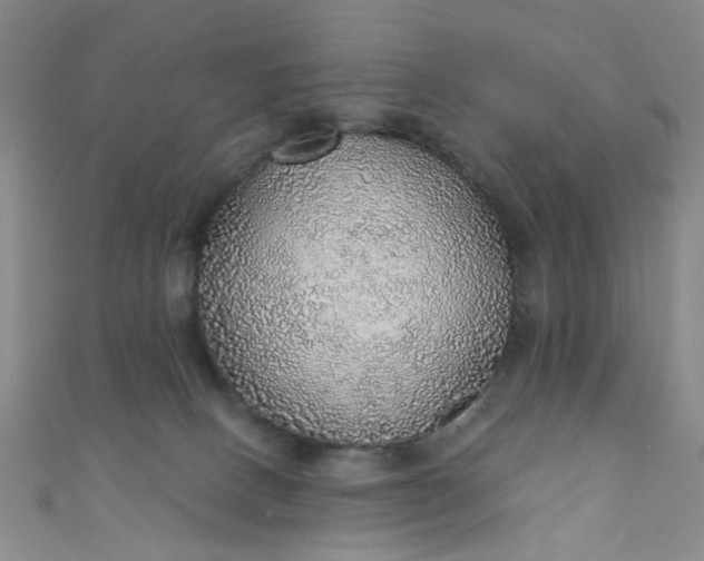 X0000110980082200907022105