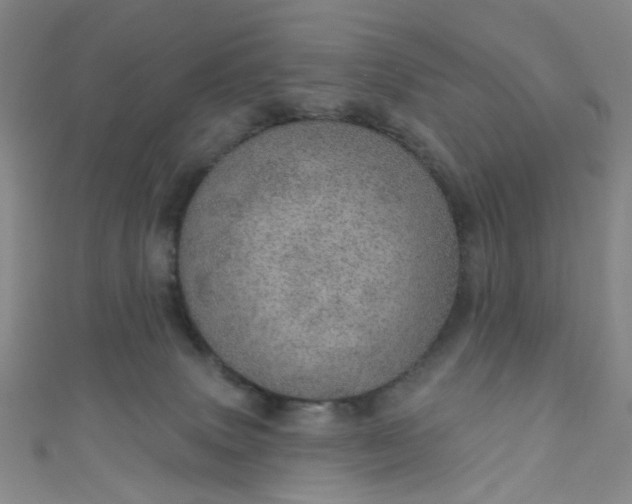 X0000110980083200907022105