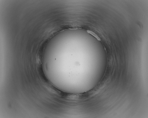 X0000110980084200907022105