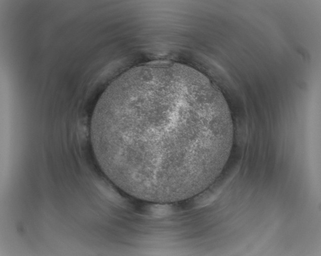 X0000110980085200907022105