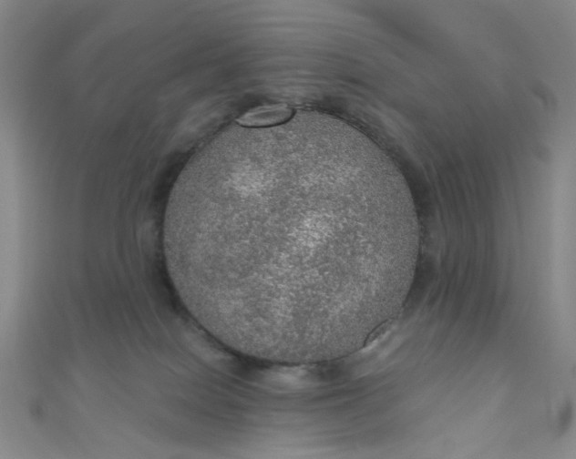 X0000110980086200907022105