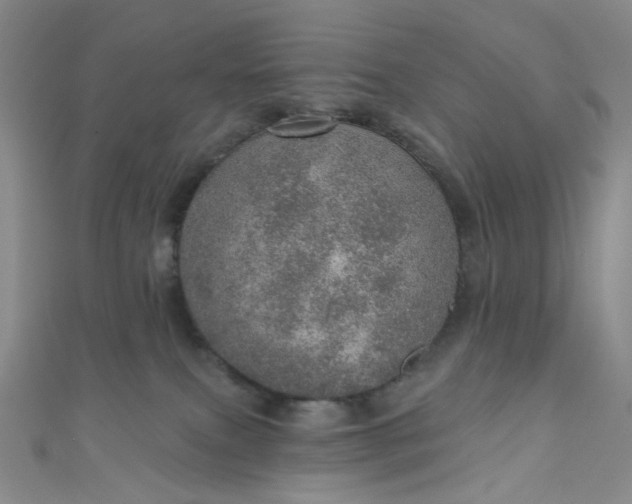 X0000110980087200907022105