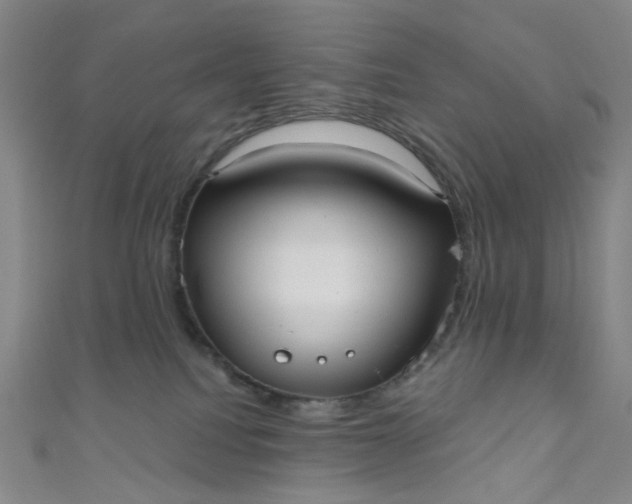 X0000110980088200907022105