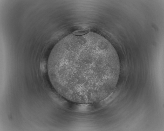 X0000110980090200907022105