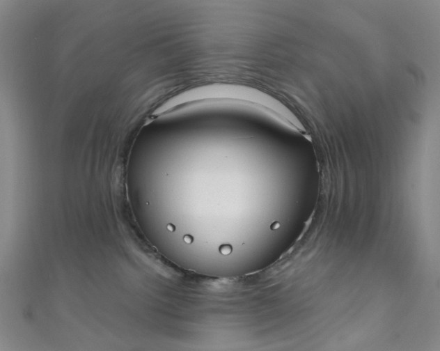 X0000110980092200907022105