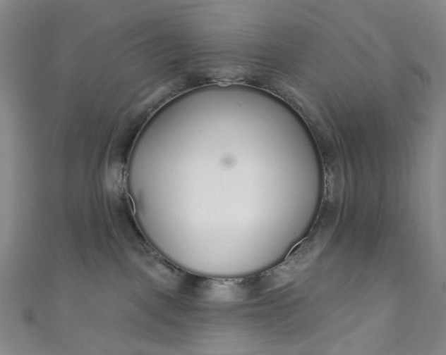 X0000110980093200907022105