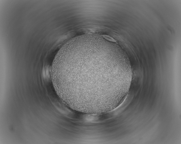 X0000110980094200907022105