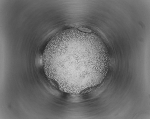 X0000110980095200907022105