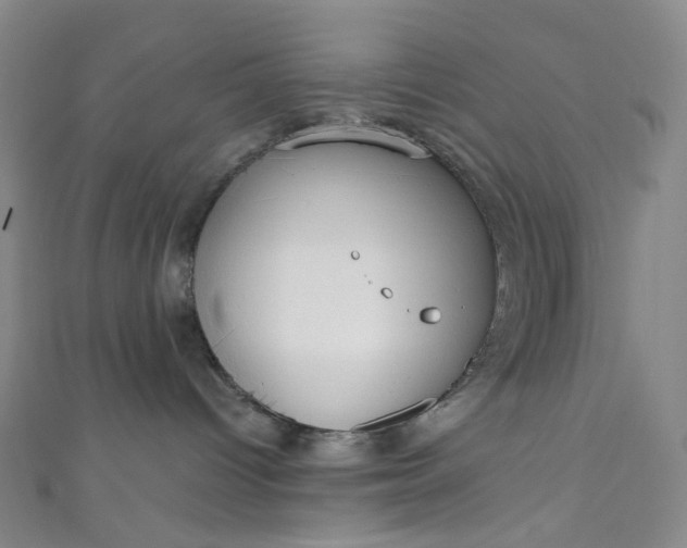 X0000110980096200907022105