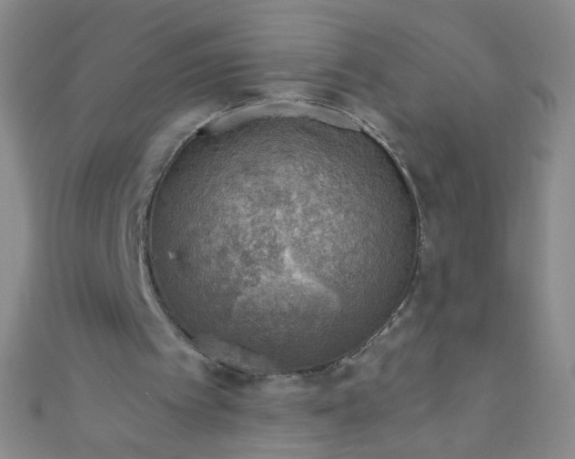 X0000110980097200907022105