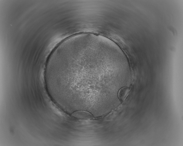 X0000110980098200907022105