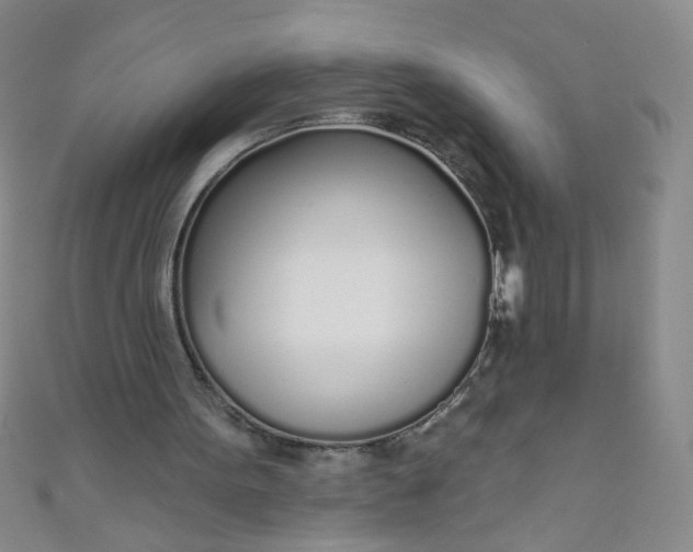 X0000110980099200907022105