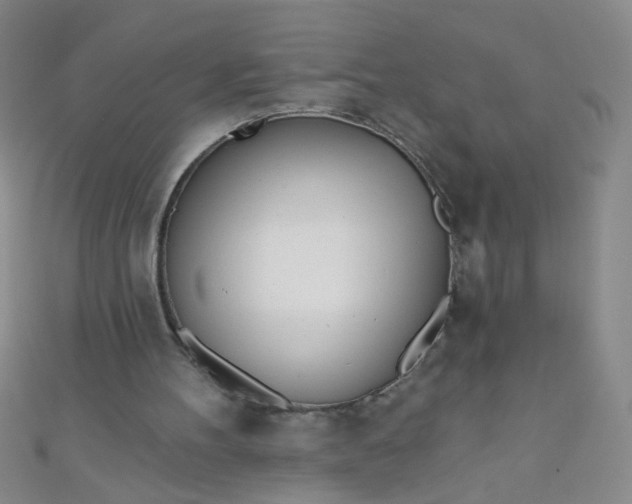 X0000110980100200907022105