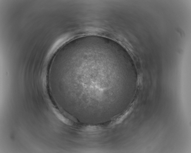 X0000110980101200907022105