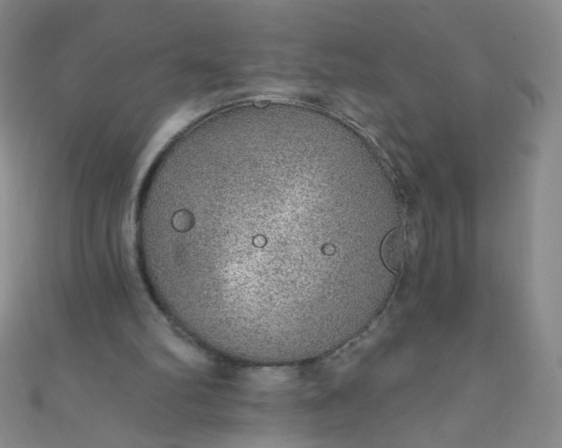 X0000110980102200907022105