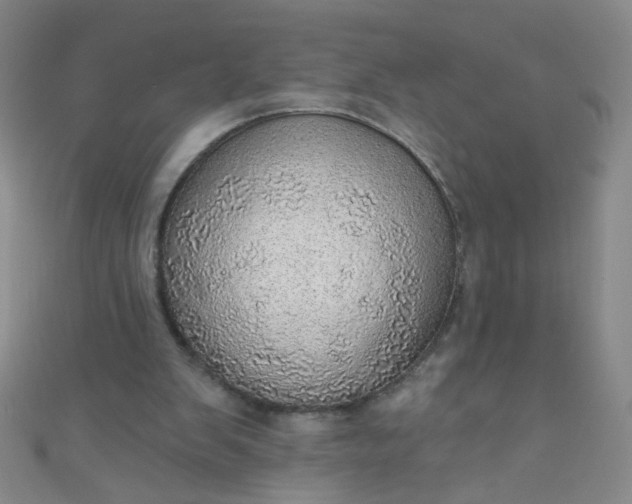 X0000110980103200907022104